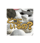 ハムスターイワシちゃんスタンプ（個別スタンプ：34）