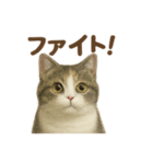 がんばる君へ マンチカンのエール（個別スタンプ：3）