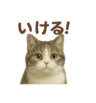 がんばる君へ マンチカンのエール（個別スタンプ：4）