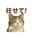 がんばる君へ マンチカンのエール（個別スタンプ：7）