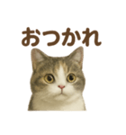 がんばる君へ マンチカンのエール（個別スタンプ：8）