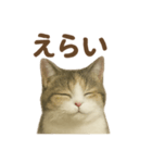 がんばる君へ マンチカンのエール（個別スタンプ：9）