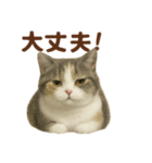 がんばる君へ マンチカンのエール（個別スタンプ：10）