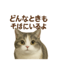 がんばる君へ マンチカンのエール（個別スタンプ：13）