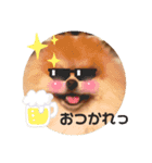 サングラスうず（個別スタンプ：5）