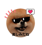 サングラスうず（個別スタンプ：6）
