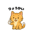 ぽふねこスタンプ（個別スタンプ：6）