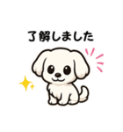 マルチーズ犬のやさしい敬語スタンプ（個別スタンプ：1）