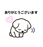 マルチーズ犬のやさしい敬語スタンプ（個別スタンプ：2）