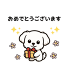 マルチーズ犬のやさしい敬語スタンプ（個別スタンプ：3）