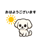 マルチーズ犬のやさしい敬語スタンプ（個別スタンプ：5）