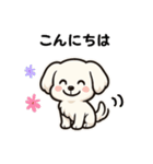 マルチーズ犬のやさしい敬語スタンプ（個別スタンプ：6）