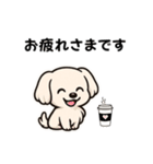 マルチーズ犬のやさしい敬語スタンプ（個別スタンプ：7）