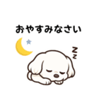 マルチーズ犬のやさしい敬語スタンプ（個別スタンプ：8）
