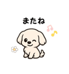 マルチーズ犬のやさしい敬語スタンプ（個別スタンプ：9）