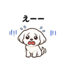 マルチーズ犬のやさしい敬語スタンプ（個別スタンプ：12）