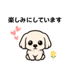 マルチーズ犬のやさしい敬語スタンプ（個別スタンプ：13）