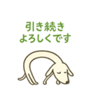 細い犬。（個別スタンプ：40）