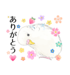いんこのすぅーちゃん☆（個別スタンプ：2）