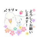 いんこのすぅーちゃん☆（個別スタンプ：3）