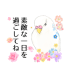 いんこのすぅーちゃん☆（個別スタンプ：4）