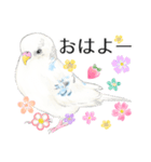 いんこのすぅーちゃん☆（個別スタンプ：5）