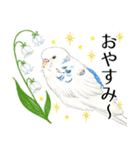 いんこのすぅーちゃん☆（個別スタンプ：6）