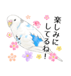 いんこのすぅーちゃん☆（個別スタンプ：7）