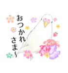 いんこのすぅーちゃん☆（個別スタンプ：8）