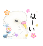 いんこのすぅーちゃん☆（個別スタンプ：9）