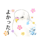 いんこのすぅーちゃん☆（個別スタンプ：10）