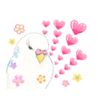 いんこのすぅーちゃん☆（個別スタンプ：12）