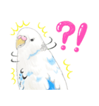 いんこのすぅーちゃん☆（個別スタンプ：15）