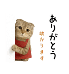 口うるさい優しいおばちゃんネコ（個別スタンプ：4）