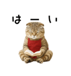 口うるさい優しいおばちゃんネコ（個別スタンプ：9）