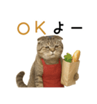 口うるさい優しいおばちゃんネコ（個別スタンプ：10）