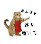 口うるさい優しいおばちゃんネコ（個別スタンプ：11）