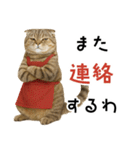 口うるさい優しいおばちゃんネコ（個別スタンプ：13）