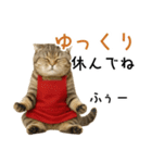 口うるさい優しいおばちゃんネコ（個別スタンプ：14）