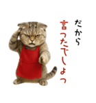 口うるさい優しいおばちゃんネコ（個別スタンプ：16）