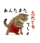 口うるさい優しいおばちゃんネコ（個別スタンプ：20）