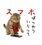 口うるさい優しいおばちゃんネコ（個別スタンプ：23）