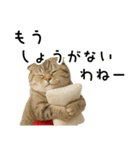 口うるさい優しいおばちゃんネコ（個別スタンプ：24）