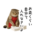 口うるさい優しいおばちゃんネコ（個別スタンプ：26）