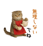 口うるさい優しいおばちゃんネコ（個別スタンプ：28）