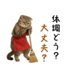 口うるさい優しいおばちゃんネコ（個別スタンプ：29）