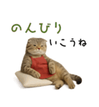 口うるさい優しいおばちゃんネコ（個別スタンプ：31）