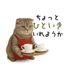 口うるさい優しいおばちゃんネコ（個別スタンプ：35）
