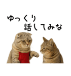 口うるさい優しいおばちゃんネコ（個別スタンプ：36）