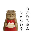 口うるさい優しいおばちゃんネコ（個別スタンプ：37）